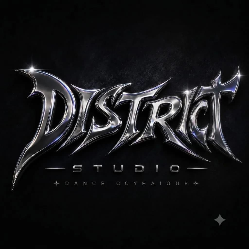 District Studio Coyhaique